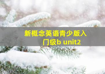 新概念英语青少版入门级b unit2